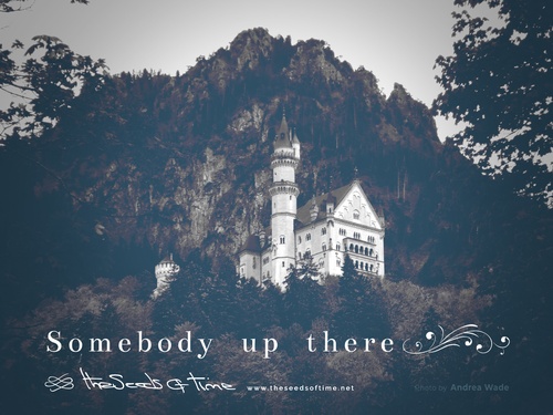 Photograph by Andrea Wade for song Somebody up there from album titled Long Road on which there is shown Neuschwanstein Castle looking over the woods