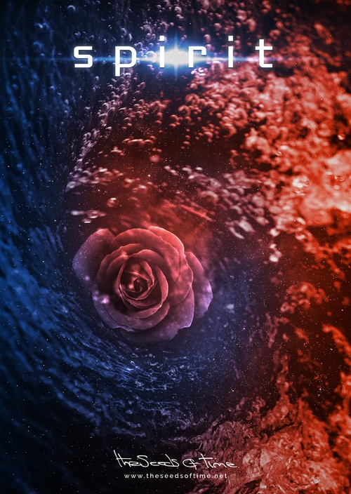Poster art for song 'Spirit' by The Seeds of Time on which there is shown a digitally created abstract illustration of a whirlpool in spacetime of opposing red and blue colours with a rose flower right signifying spirit