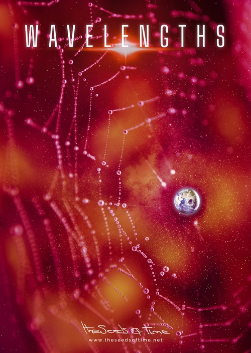 Poster art for song 'Tin Man Wavelengths' from album titled Long Road by The Seeds of Time on which there is shown a digitally created illustration of a spider web cosmos in deep red and orange colours with planet Earth being in the centre of it