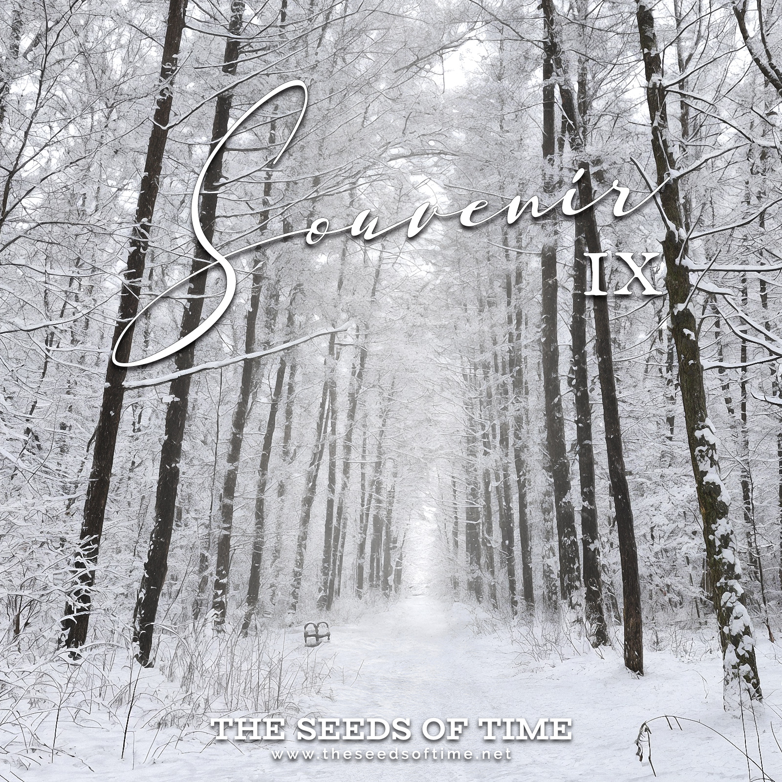 Track image for The Seeds of Time track titled Souvenir IX showing a magic snowy scene of an alley formed by tall trees cover by puffs of snow delicately decorating the branches