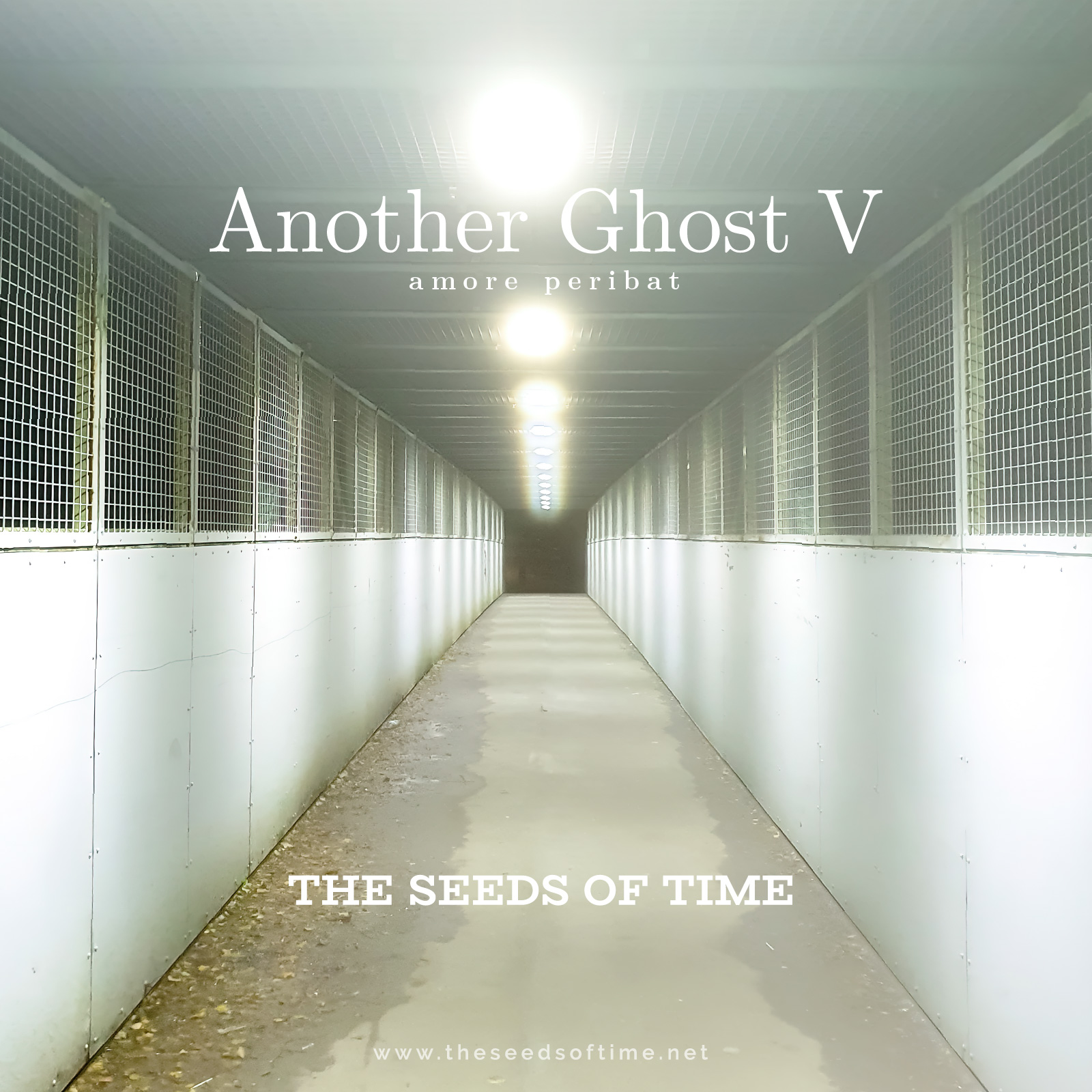 Track image for song titled Another Ghost V showing a brightly lit tunnel ending with an unknown passage