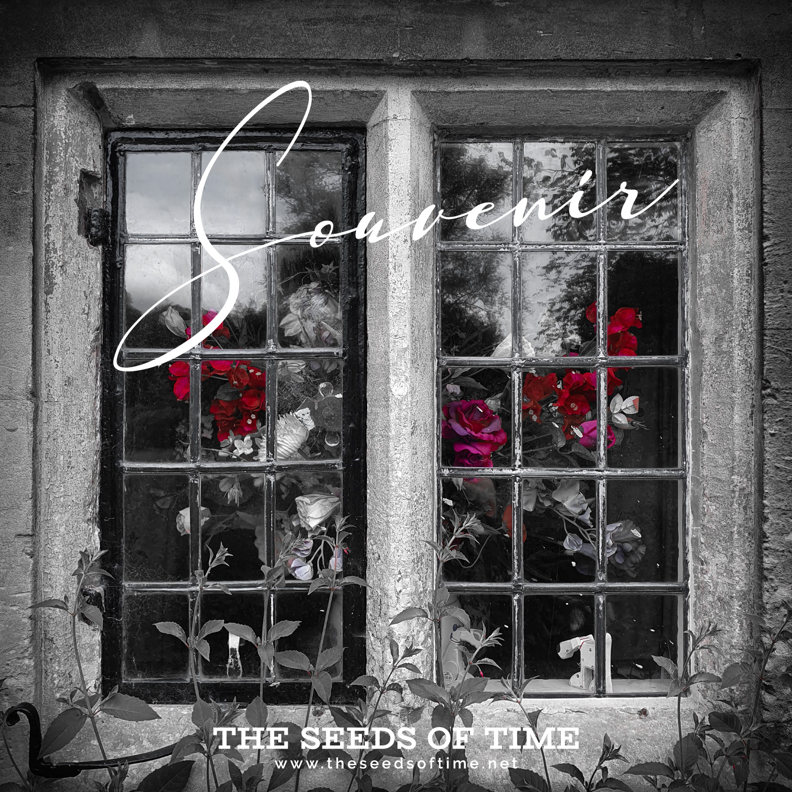 Track image for instrumental piano piece titled Souvenir with a black and white photograph of an old square window with roses behind it which still have their red and magenta colour